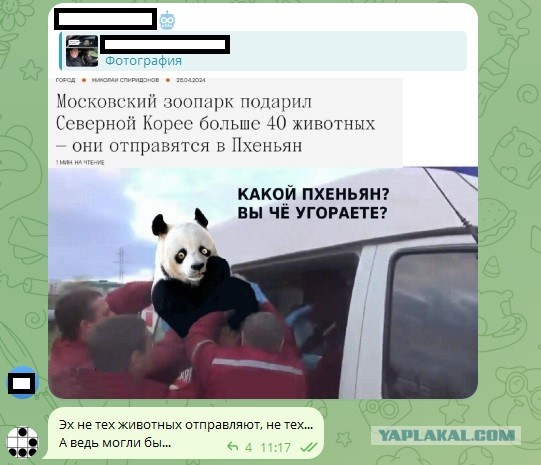 Московский зоопарк подарил Северной Корее более сорока животных