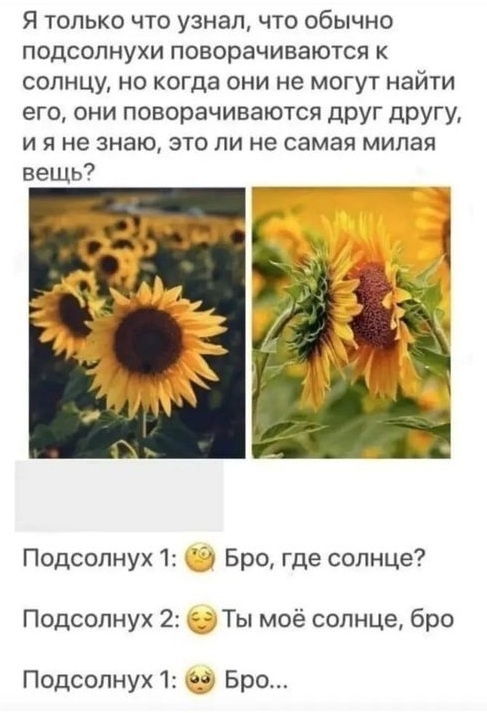 Так себе картинки 29.10.24
