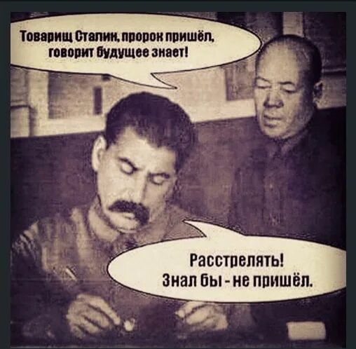Россиянин стал учеником гадалки и обманул ее на 2 млн рублей