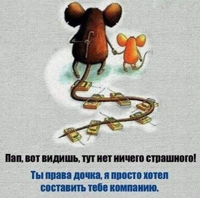 Прикольные и просто красивые картинки 24.12.2024