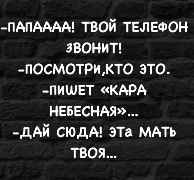 Весёлый полтишок 06.06.25