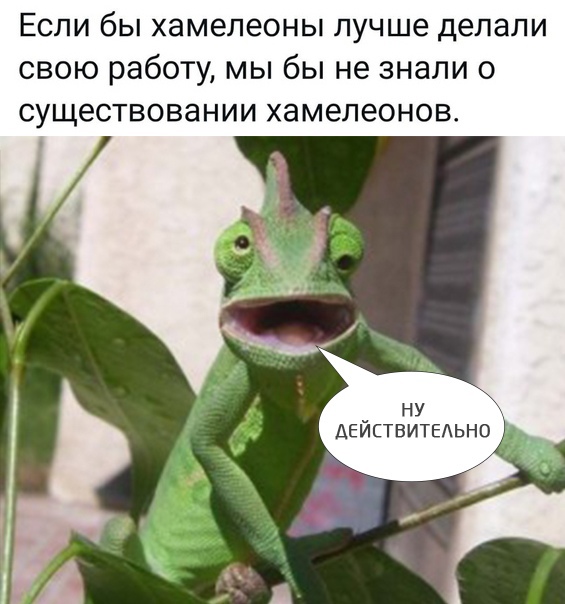 Картинки для деградации 3 (разной степени свежести)