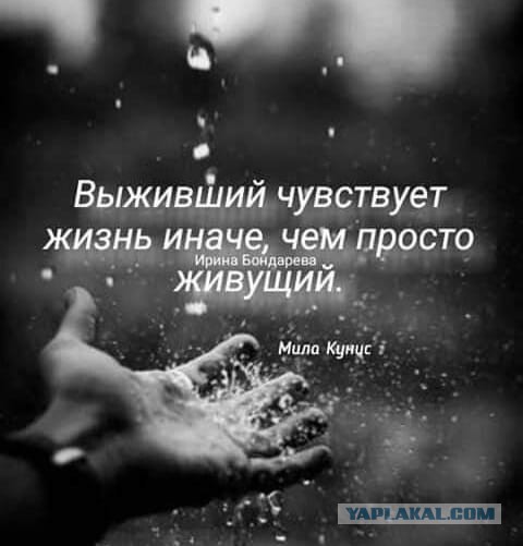 Картинки для деградации 82 (разной степени свежести)