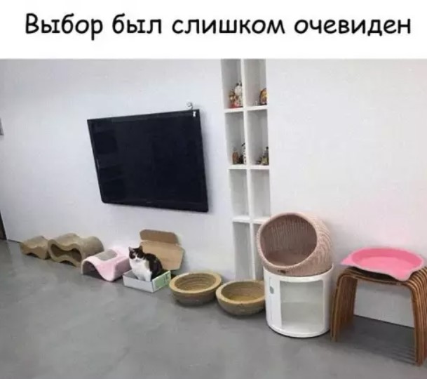 Картиночки, баянчики 21 января