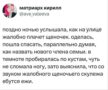 Жизнь на острове