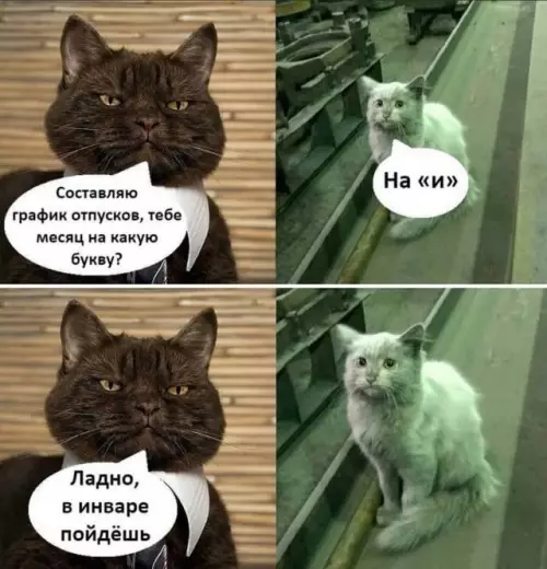 Картиночки, баянчики 24 февраля