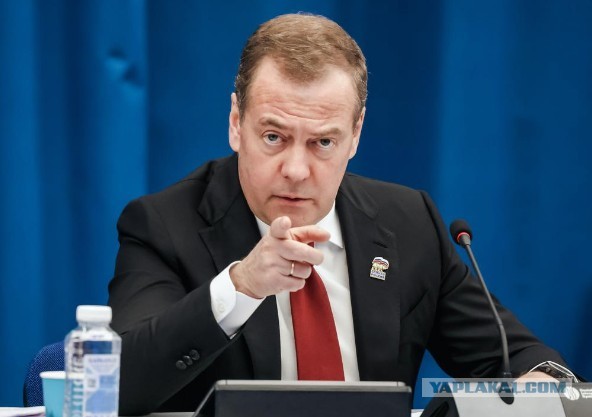 Американец добрался до Купчино