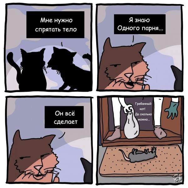 Веселое настроение в картинках 16.08.26