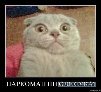 Что нарисовал Путин?