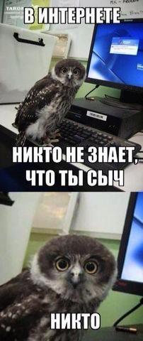 Давайте жить дружно!