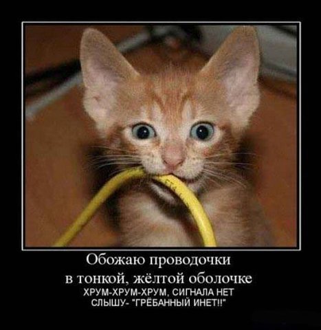 Комментарии из социальных сетей