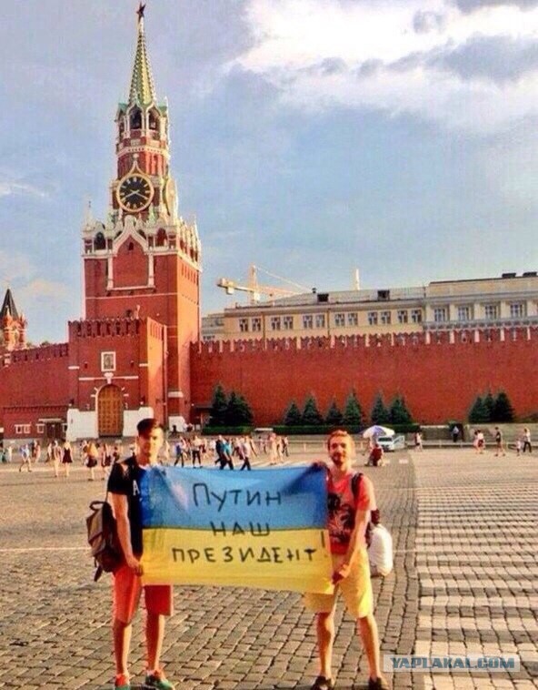 Смешные картинки с подписями 2