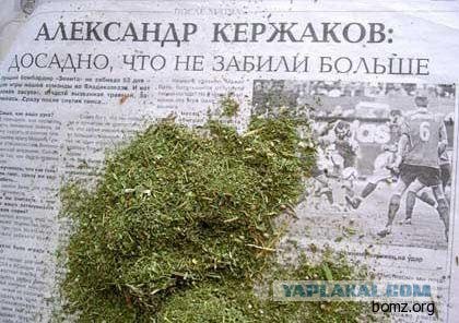 Журналистика