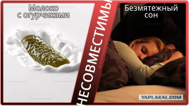 50 на 50: даже не верится, что это части одной фотографии