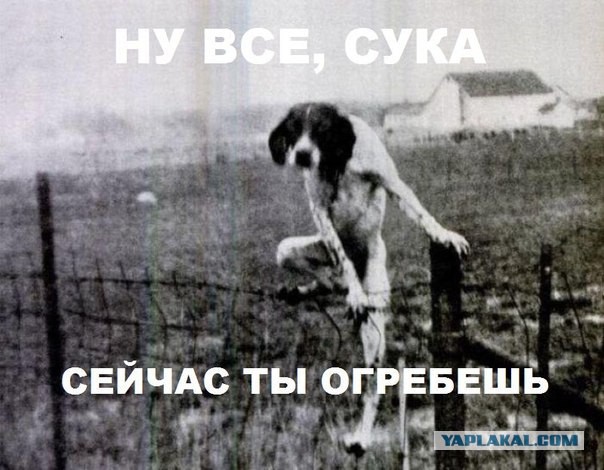 Подборка "баянов" со всего интернета