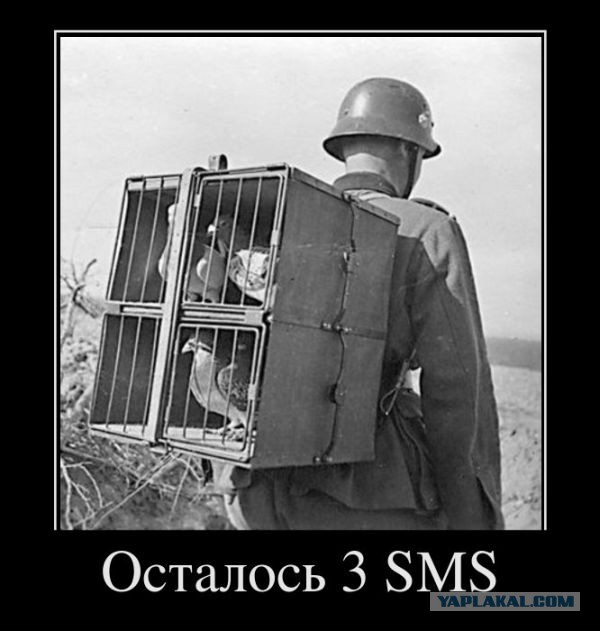 Юмор не для всех