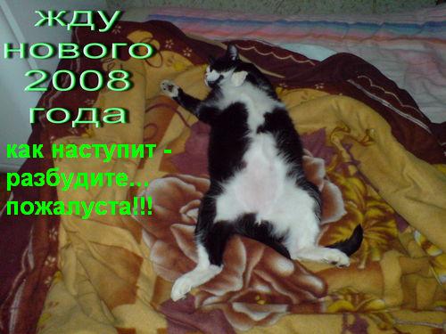 Праздничное зверье