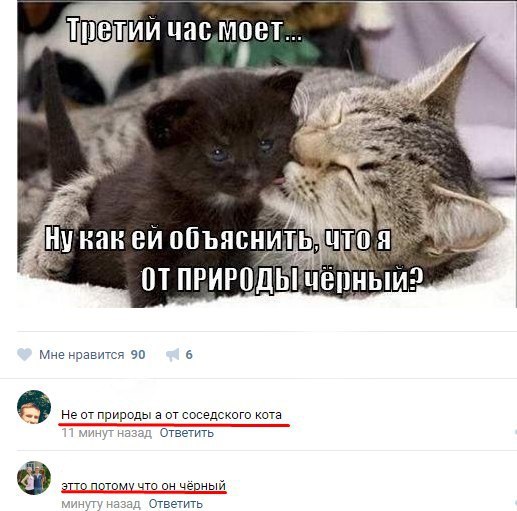 Ужасы и приколы из соцсетей 18+