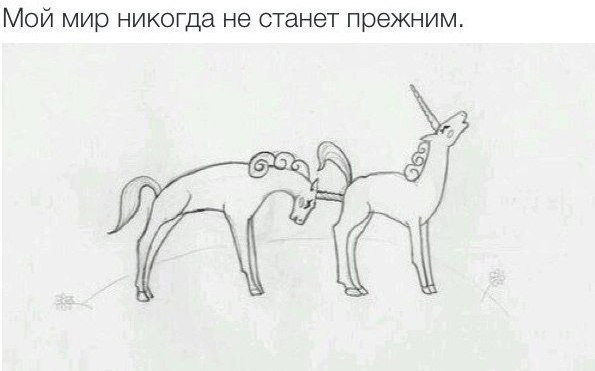 О братьях наших меньших