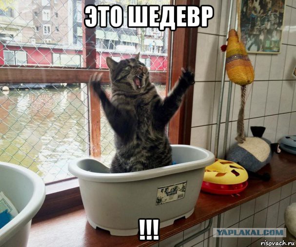 Когда хозяин радостный обладатель лишней хромосомы
