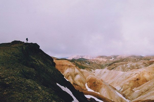 Моменты, запечатлённые на фото и просто позитив 5