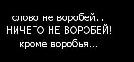 Прилетело от соседа