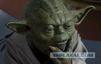 Навального арестовали на 20 суток