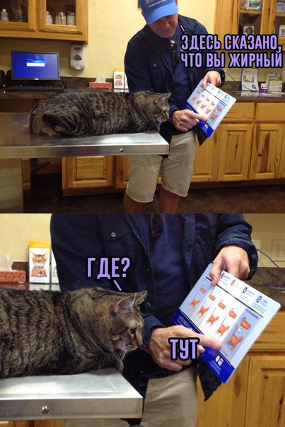 Ударная доза тупежа и лёгкой наркомании к выходным