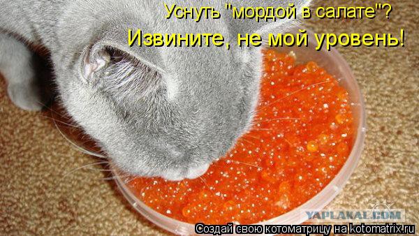 Посвящение в русские