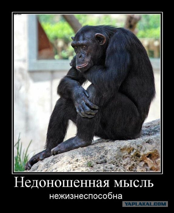 Как Дед Мороз пизды получил