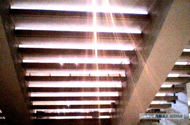 Как я снималась в передаче "Час суда"