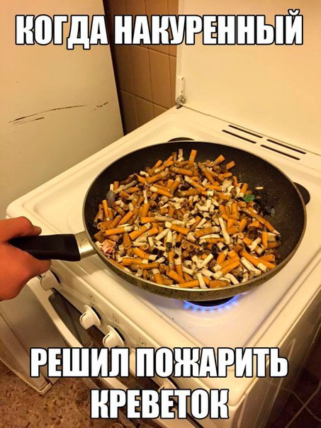 Тупик эволюции