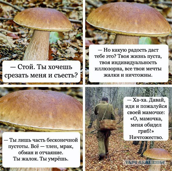Нестандартный юмор