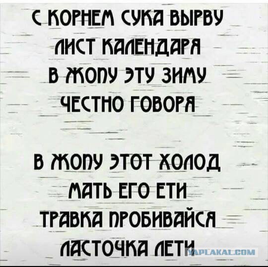 Смешные комментарии из социальных сетей 30.03.2018