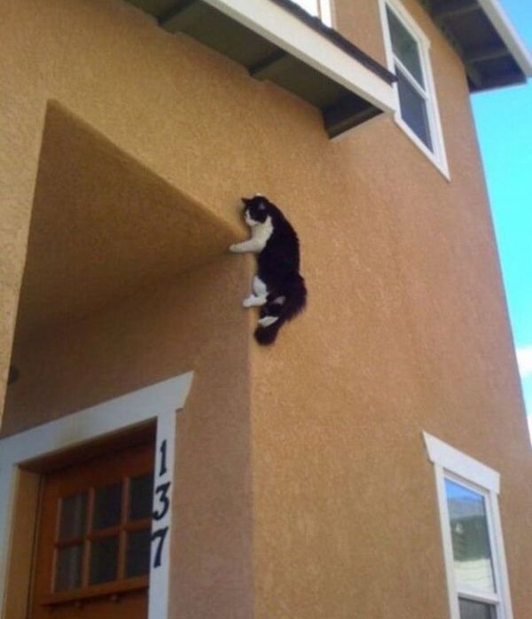 Фото, на которых все могло бы быть нормально, если бы не одно но...