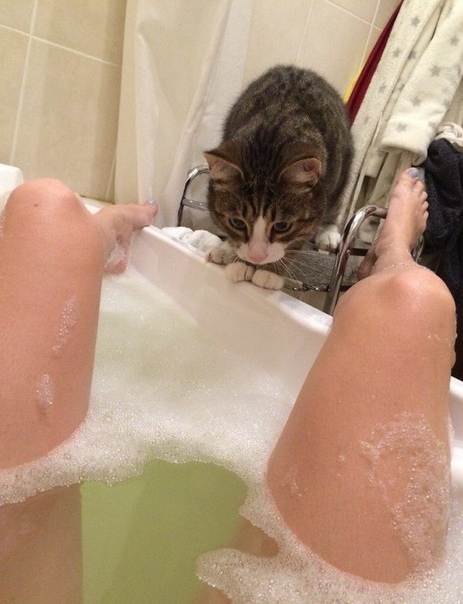 Немного милоты