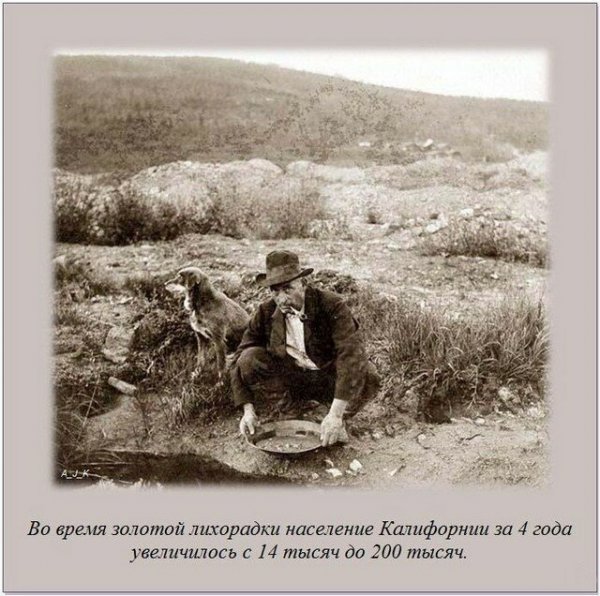 Интересные факты обо всем на свете