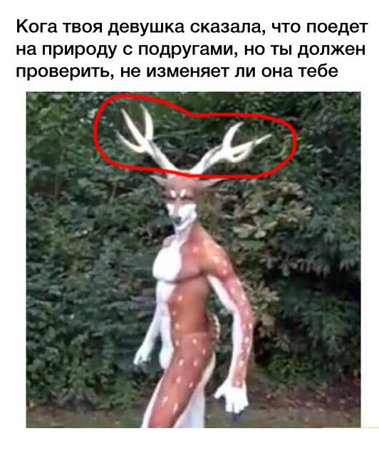 Прикольные картинки