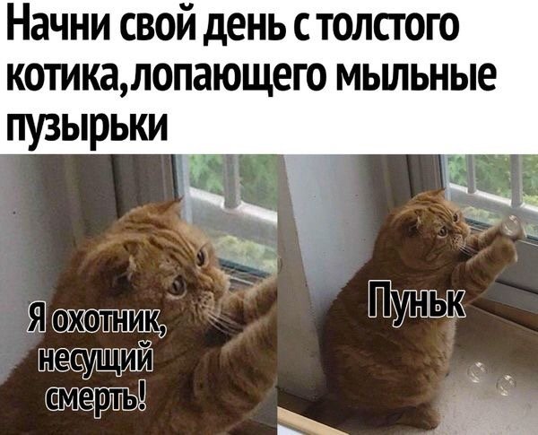 Картинки с надписями, истории и анекдоты 08.10.19