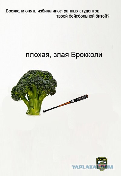 Социальная реклама (4 шт.)