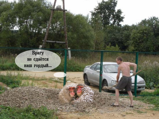 Фотожаба: Мужика все задолбало!