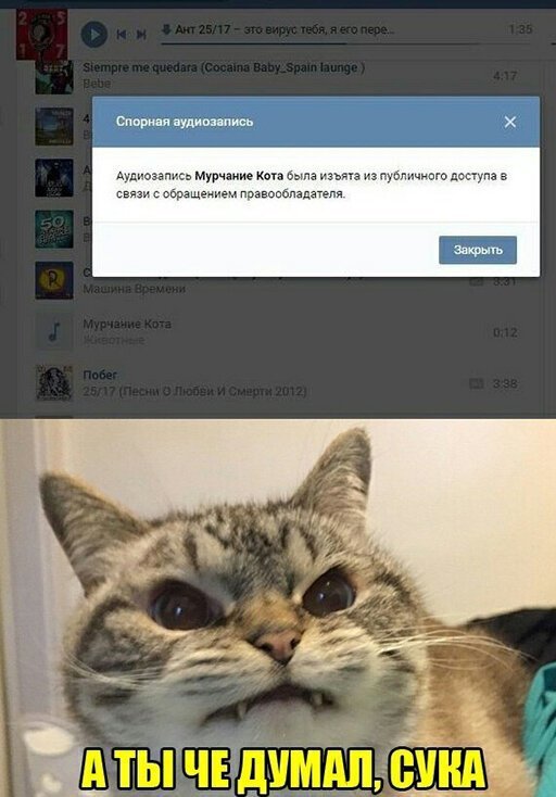 Немного картинок в этот четверг