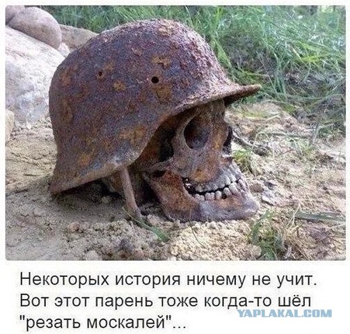 Пост картинок в понедельник 25.05. Всяких разных обо всём