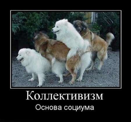 Очень пошлые картинки про это.18+
