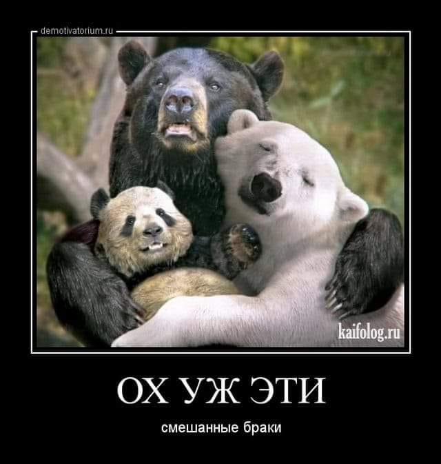 Юмор из соцсетей 13.07.2020