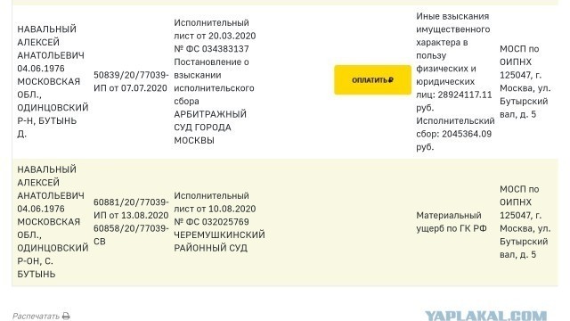 Пашаев заявил, что готов защищать Навального