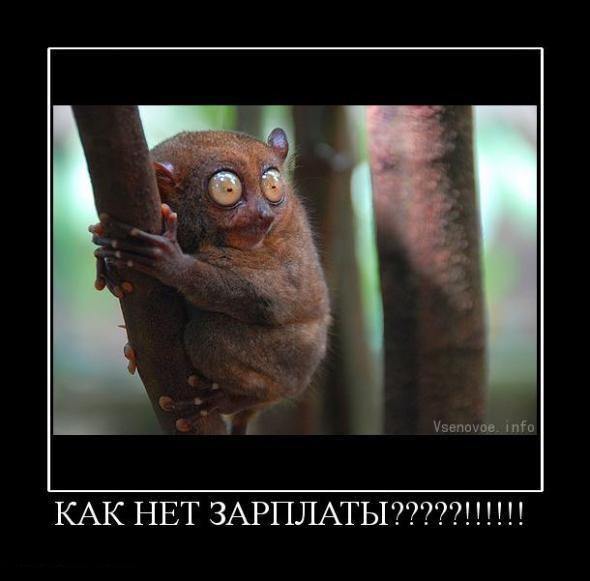 Подборка баянистых картинок