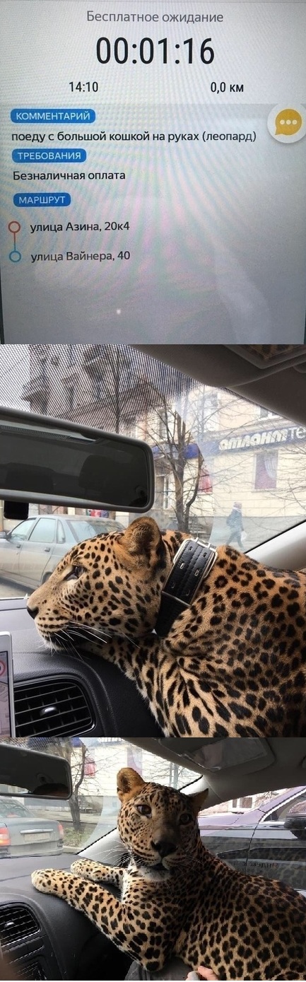 Юмор в картинках 11.11.2020 (2)