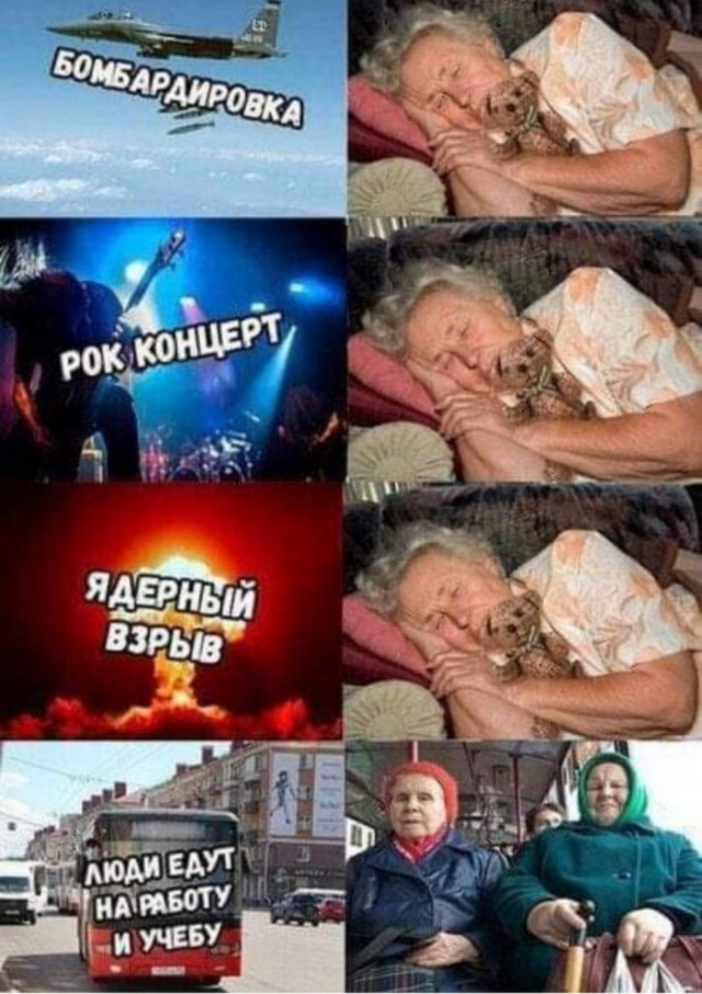 Фотки и картинки: юморные и красивые, забавные и милые 13.11.20