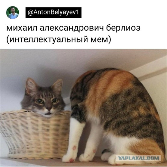 Мощные аргументы